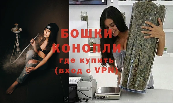 спайс Гусев